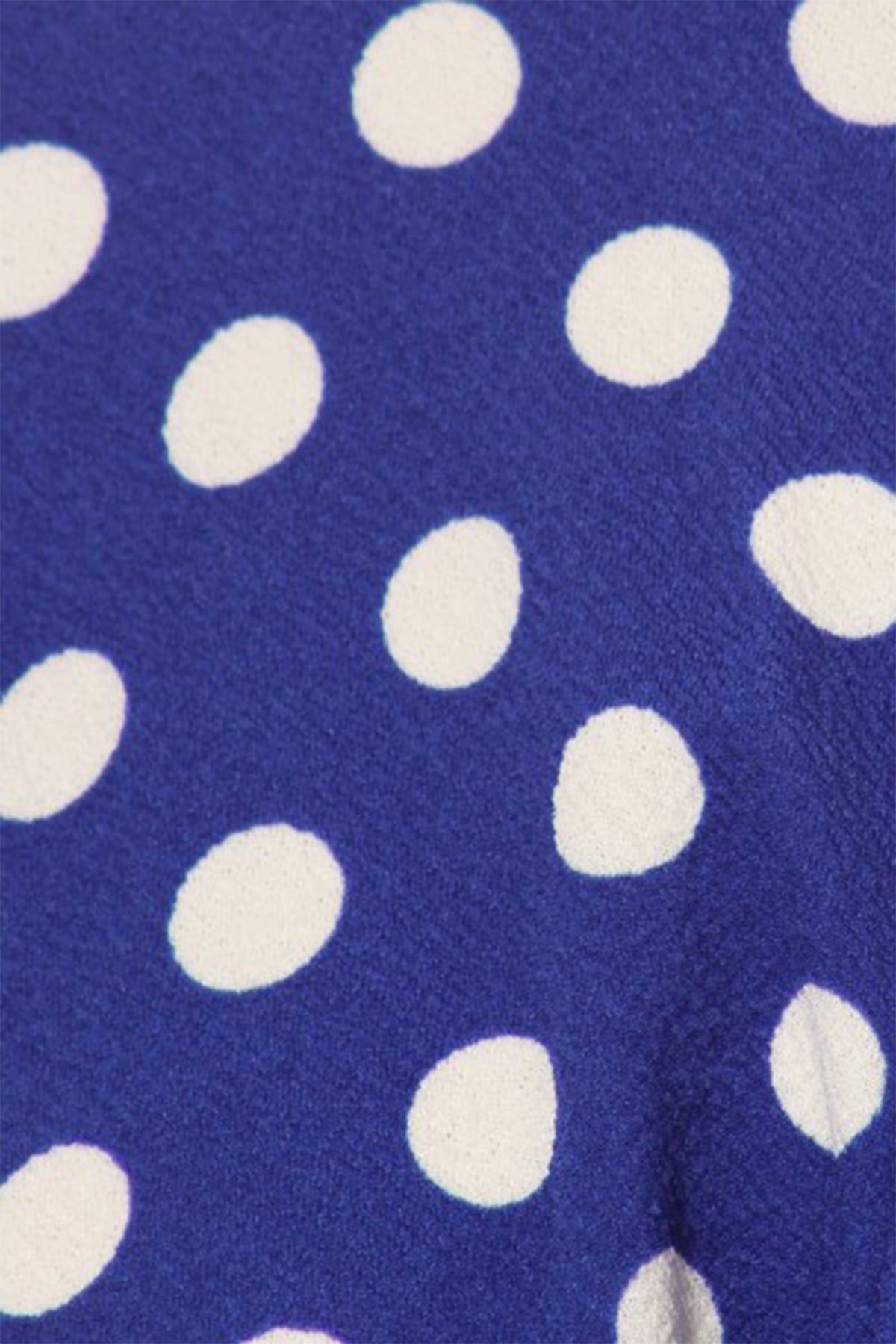 Medium Polka Royal