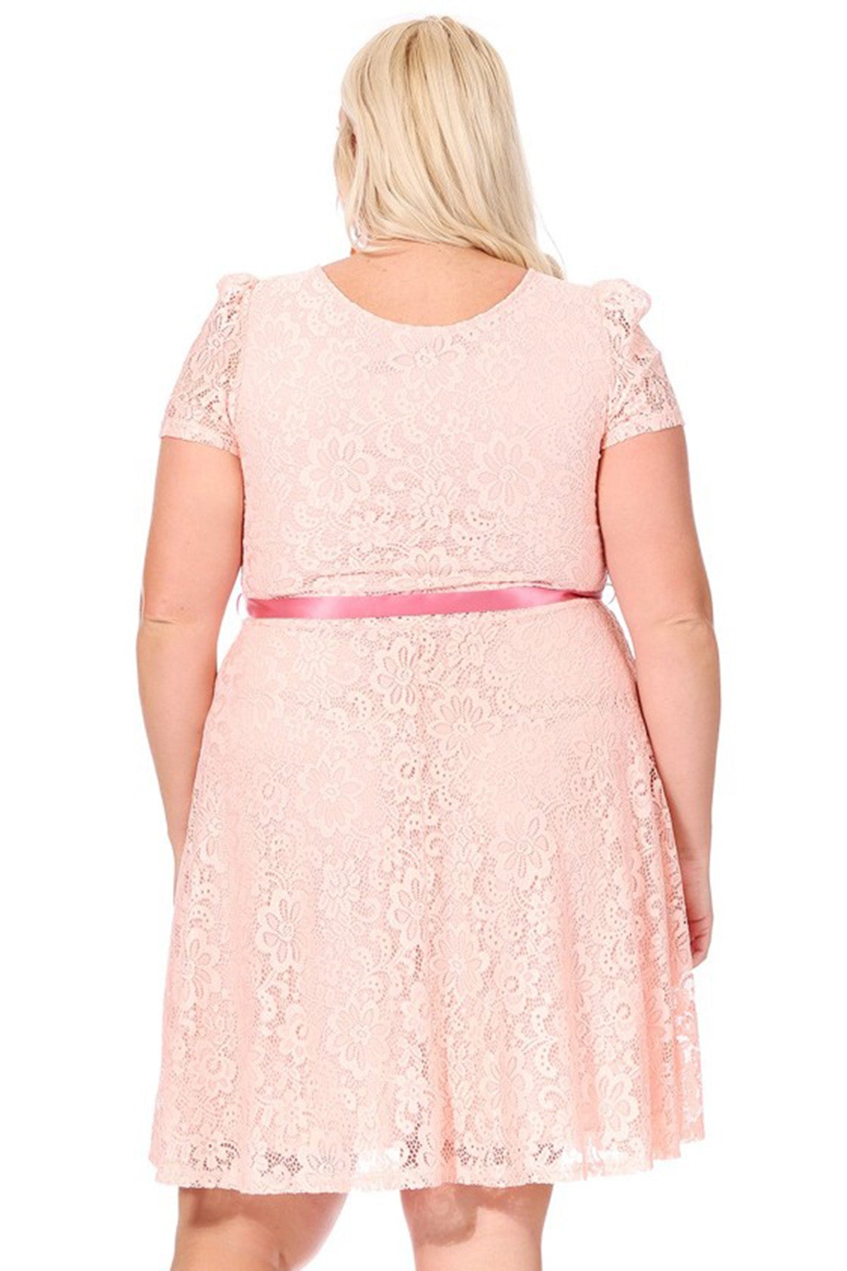 Women's Plus Size Lace Short Sleeve Party Midi Dress